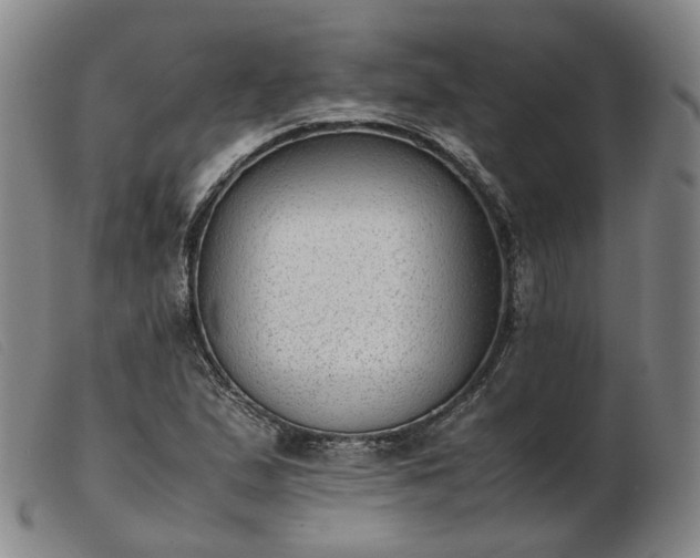 X0000103431167200809191654