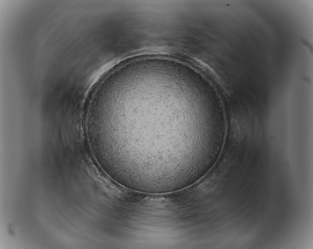 X0000103431168200809191654