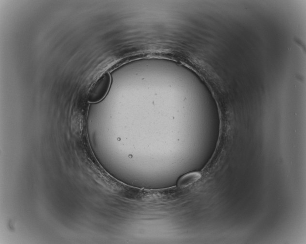 X0000103431169200809191654
