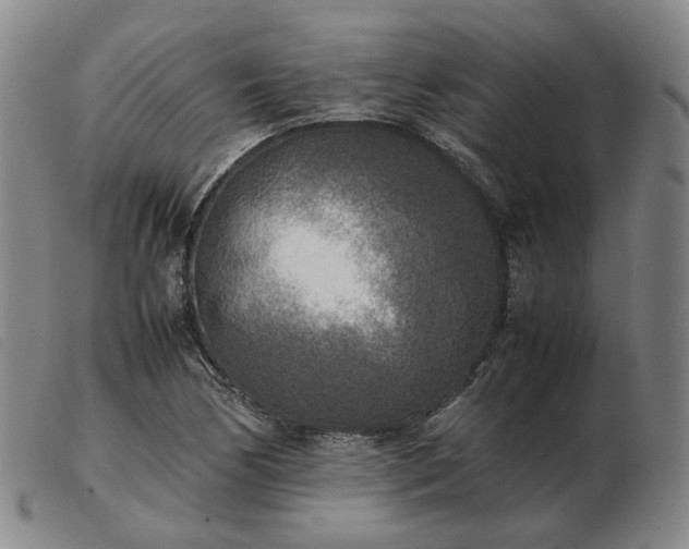 X0000103431170200809191654