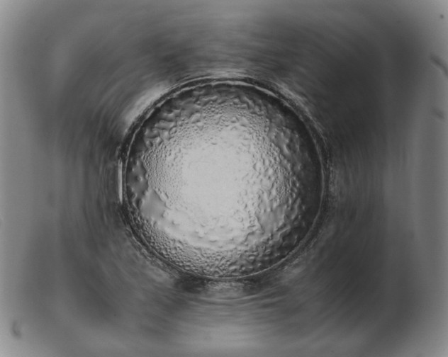 X0000103431171200809191654