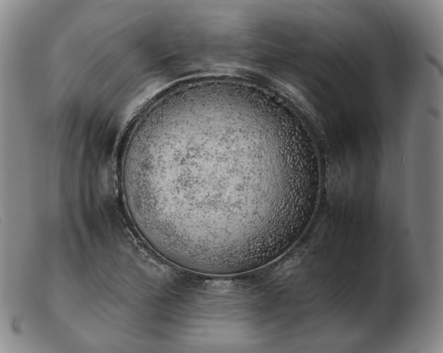 X0000103431172200809191654