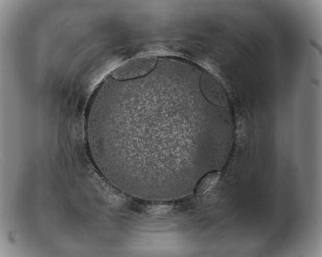 X0000103431173200809191654