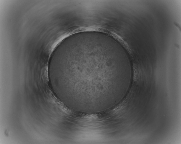 X0000103431174200809191654