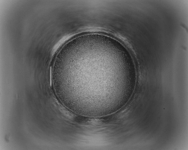 X0000103431175200809191654