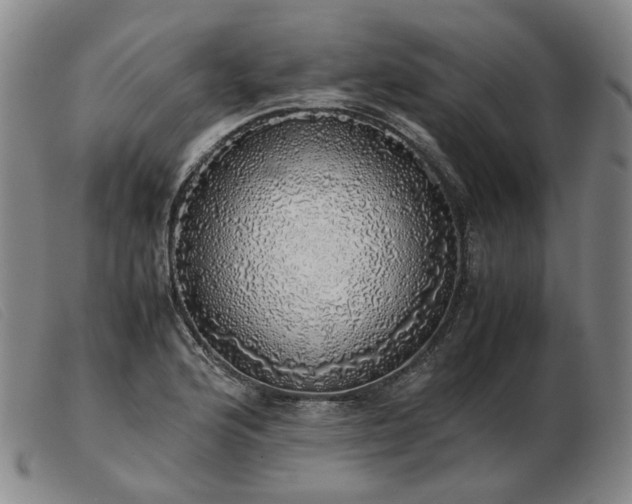 X0000103431176200809191654