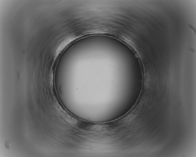 X0000103431179200809191654