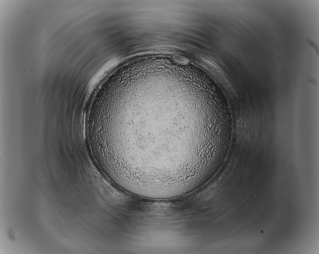 X0000103431180200809191654
