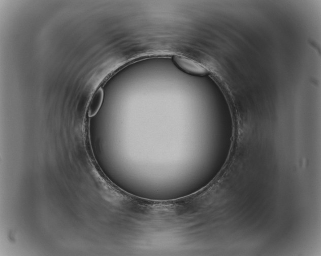 X0000103431181200809191653