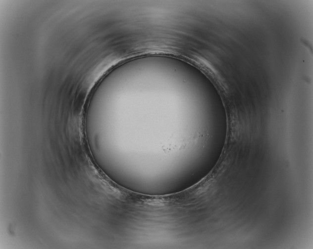 X0000103431182200809191653