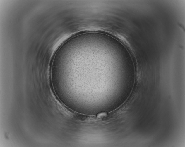 X0000103431183200809191653