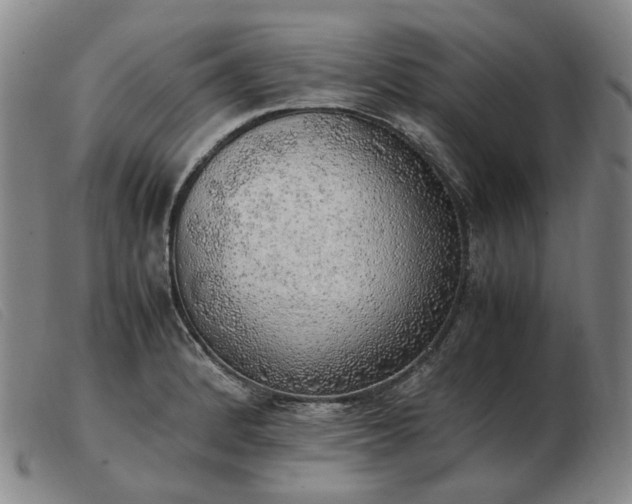 X0000103431184200809191653