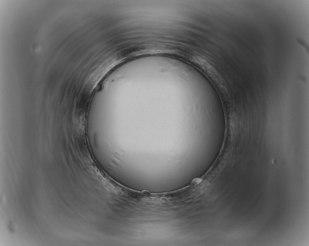 X0000103431185200809191653