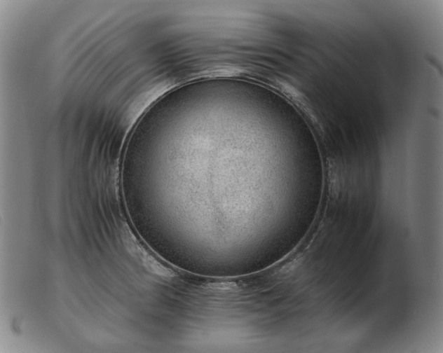 X0000103431186200809191653