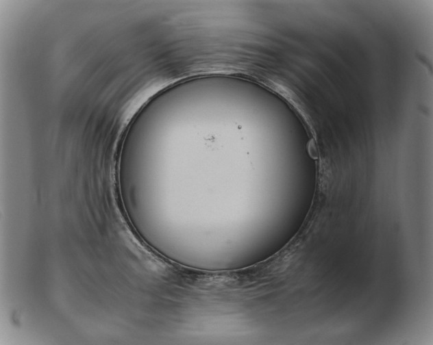 X0000103431187200809191653