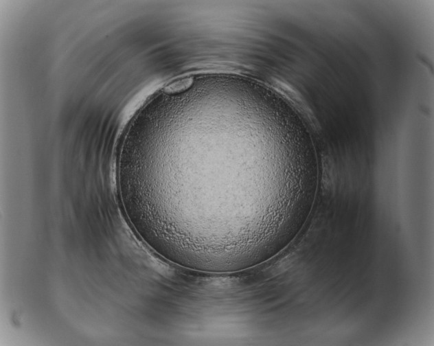 X0000103431188200809191653