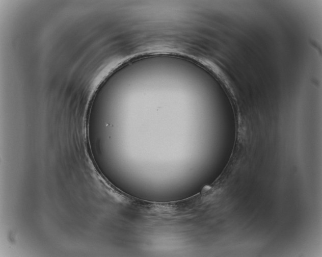 X0000103431191200809191653