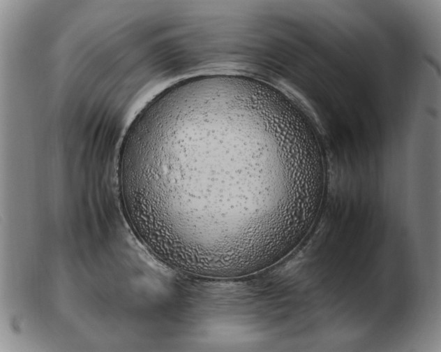 X0000103431192200809191653