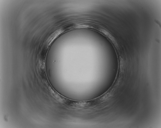 X0000103431193200809191653