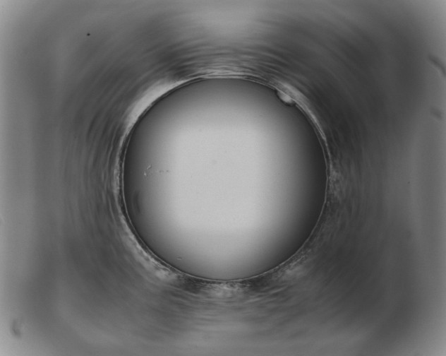 X0000103431195200809191653