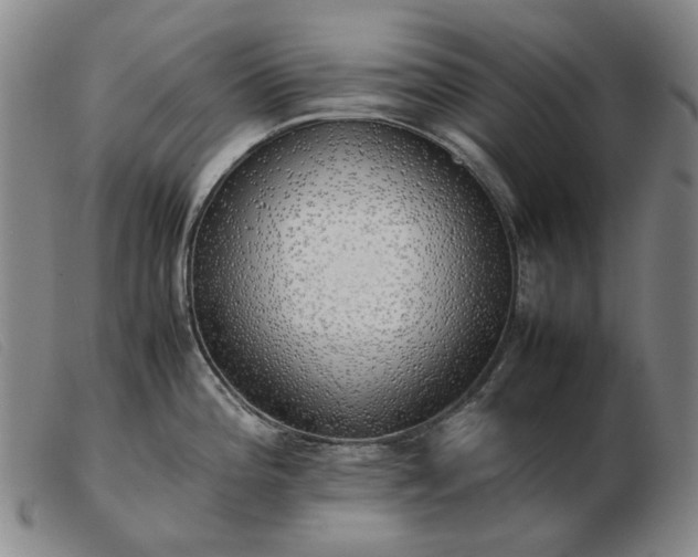 X0000103431196200809191653