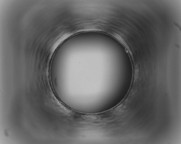 X0000103431197200809191653