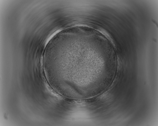 X0000103431198200809191653