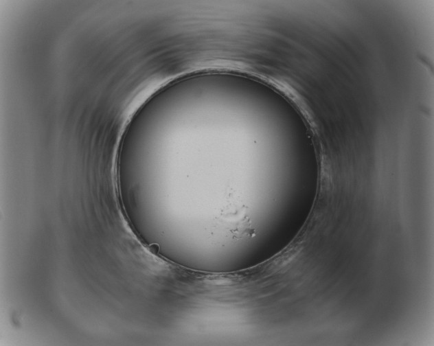 X0000103431199200809191653