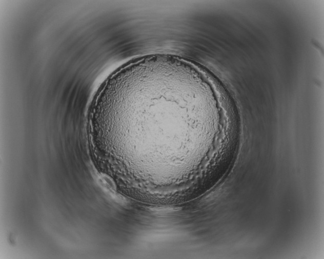 X0000103431200200809191653