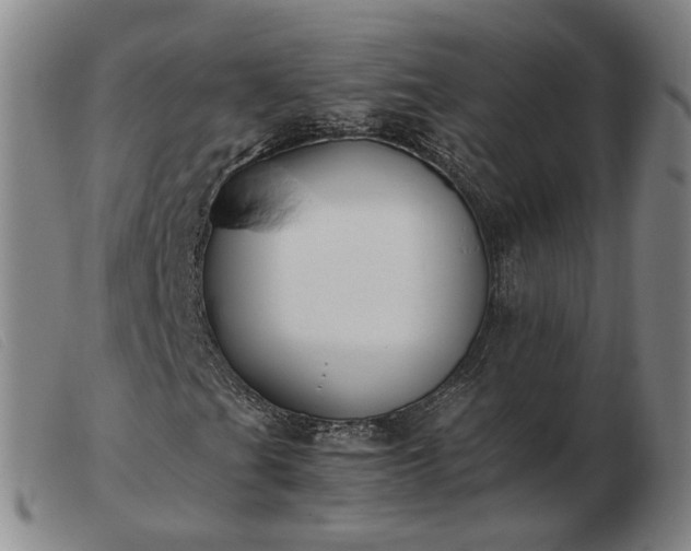 X0000103431201200809191652