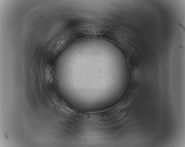 X0000103431202200809191652