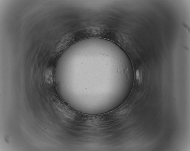X0000103431203200809191653