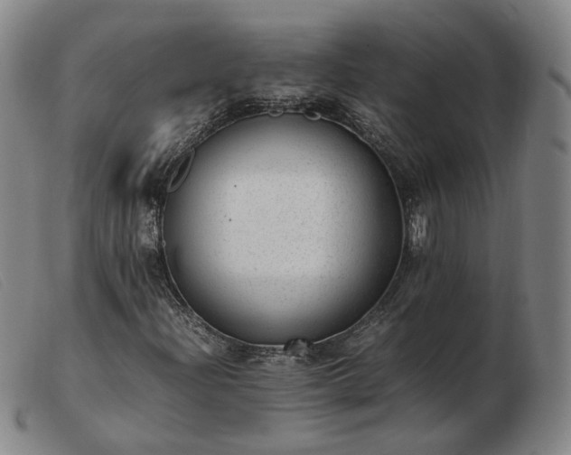 X0000103431204200809191653