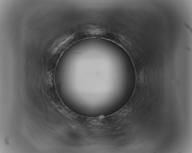 X0000103431205200809191653