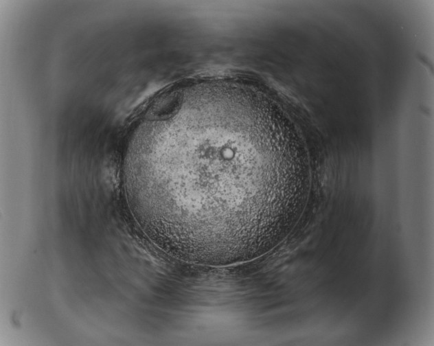 X0000103431206200809191653