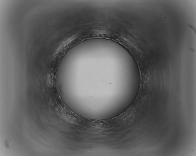 X0000103431207200809191653