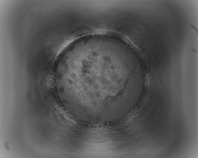 X0000103431208200809191653