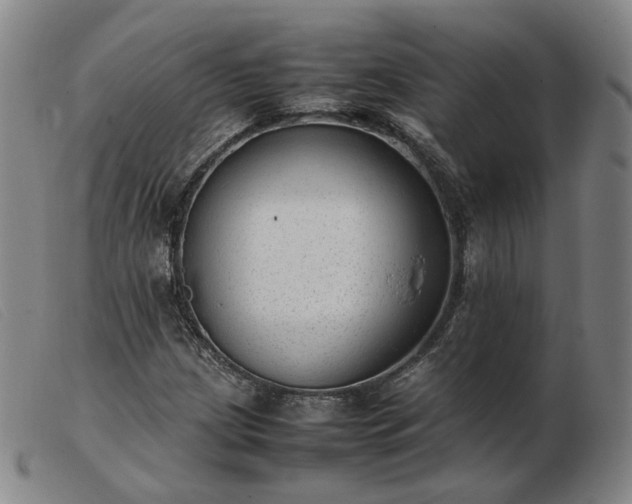 X0000103431209200809191653