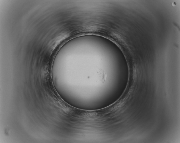 X0000103431210200809191653