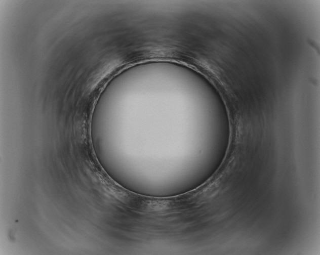 X0000103431211200809191653
