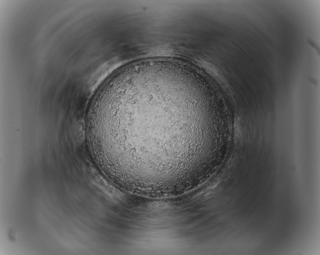 X0000103431212200809191653