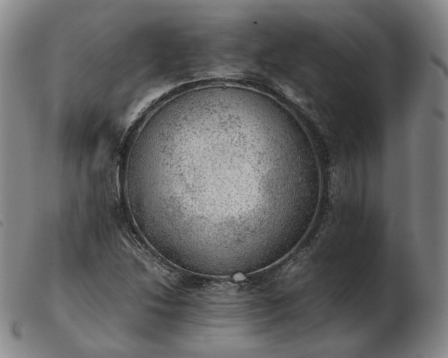 X0000103431214200809191653