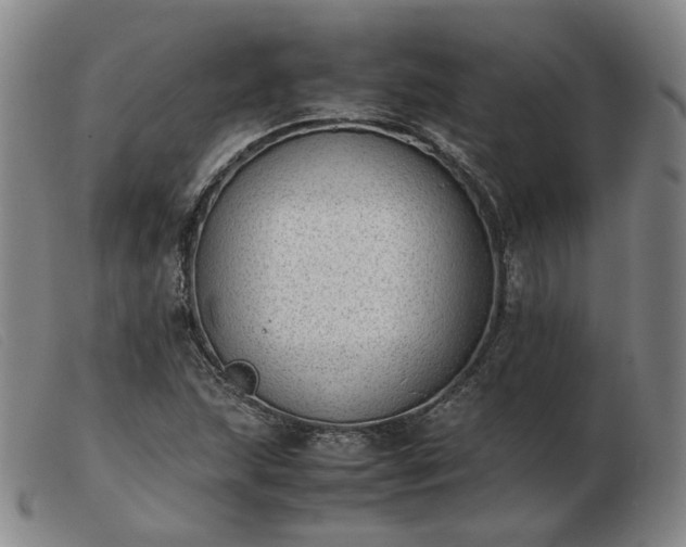 X0000103431215200809191653