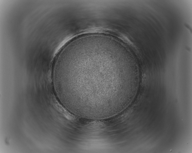 X0000103431216200809191653