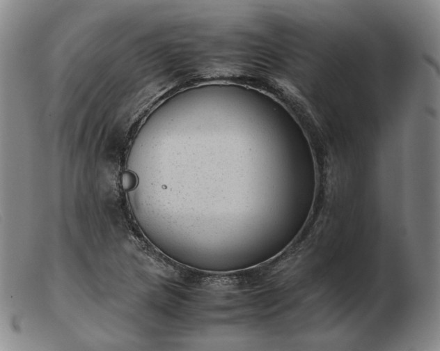 X0000103431217200809191653