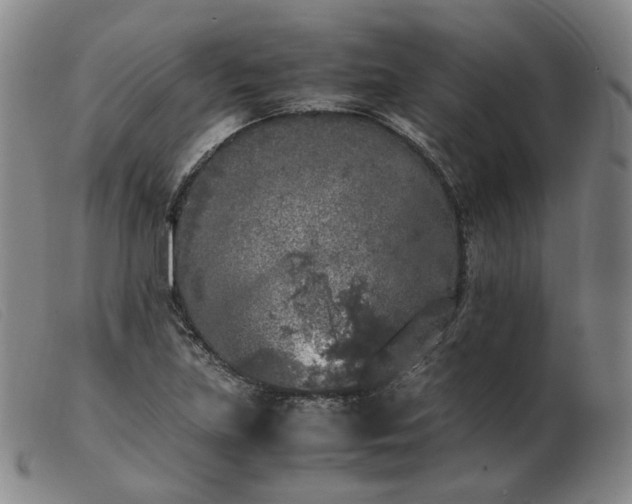 X0000103431219200809191653