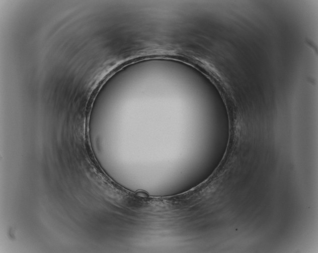 X0000103431220200809191653