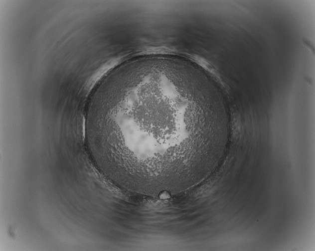 X0000103431221200809191653