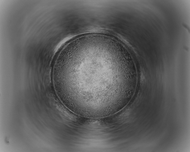 X0000103431222200809191653