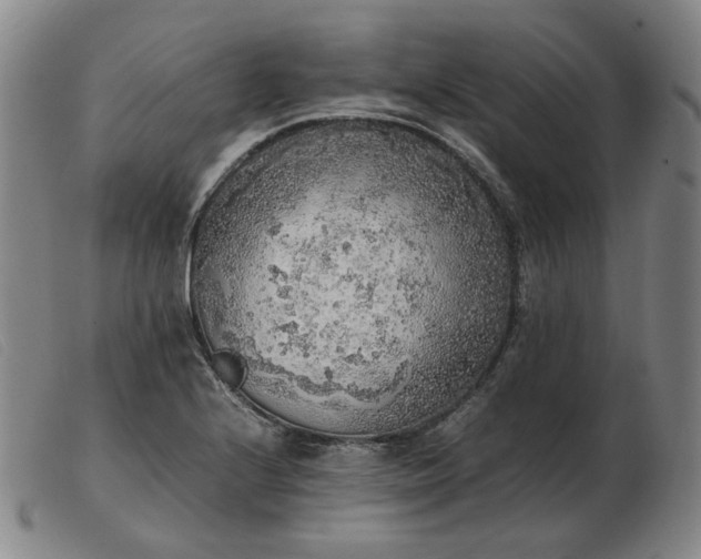 X0000103431224200809191653